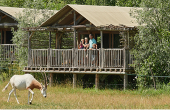 Parc animalier et Parc d'attraction Le Pal, Auvergne Rhône Alpes : dormir au Zoo