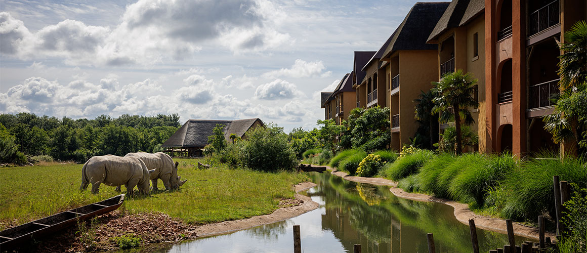 Un hébergement au cœur de la Savane africaine