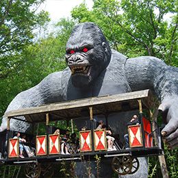 King Kong Attraction Pour Les Enfants Parc D Attractions Rhone Alpes Auvergne Le Pal