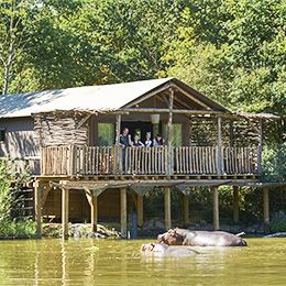 dormir au zoo safari lodge france au pal passez la nuit dans un parc animalier