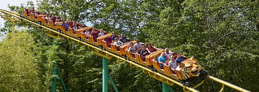 Le tigre de Sibérie au parc de loisirs Le PAL en Auvergne-Rhône-Alpes