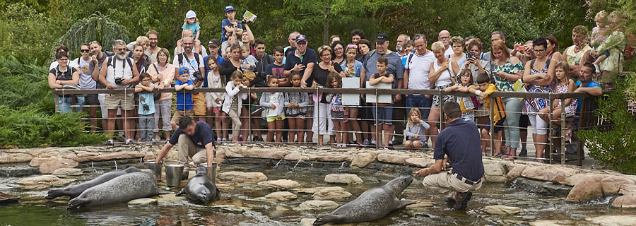 Spectacles et animations