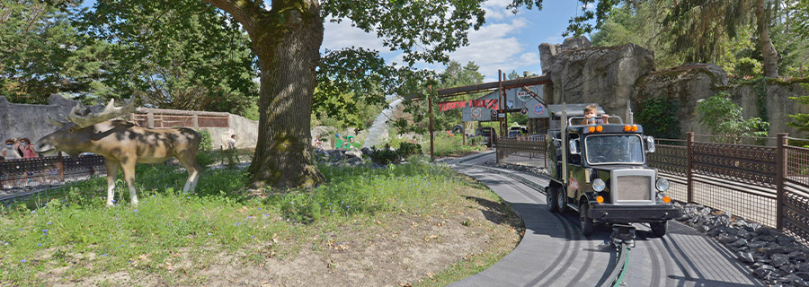 Les Yukon Trucks au parc d'attraction Le PAL