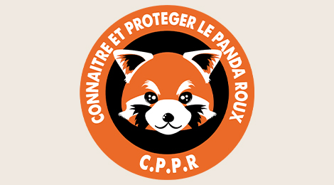 Connaitre et Protéger le Panda Roux