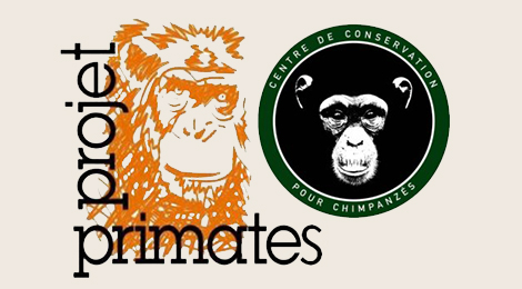 Projet Primates France