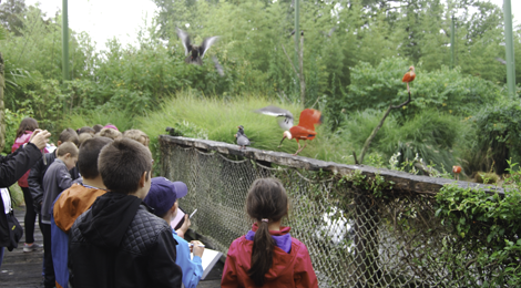 Votre mission : protéger la biodiversité !