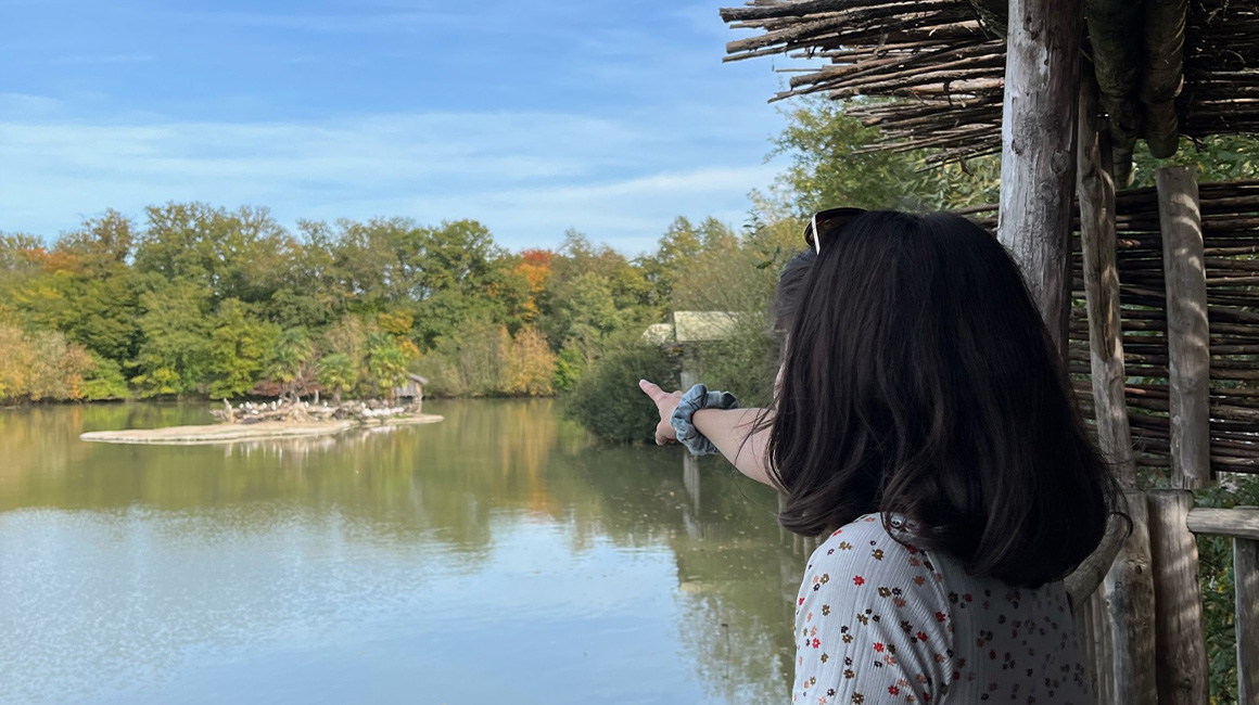 Une vue imprenable sur les hippopotames et pélicans