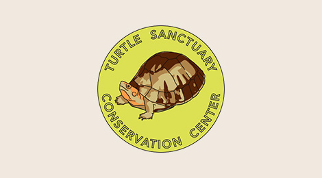 Turtle Sanctuary