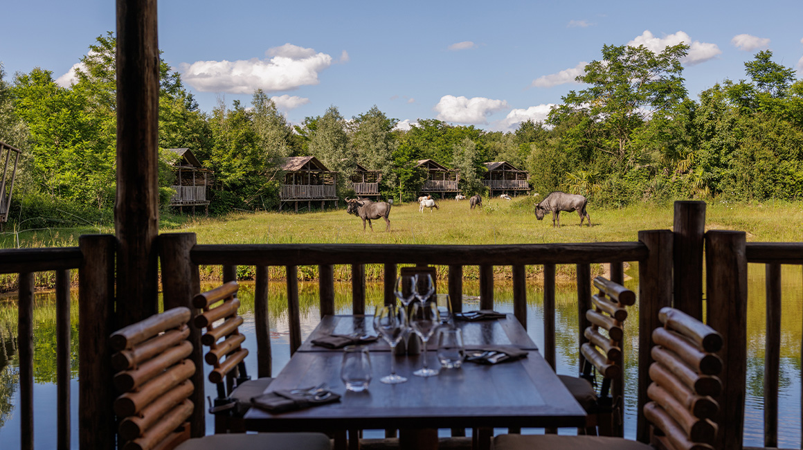 Safari Lodge Au Parc Du Pal Dormez Au Zoo Au Milieu Des Animaux safari-lodge-au-parc-du-pal-dormez-au-zoo-au-milieu-des-animaux