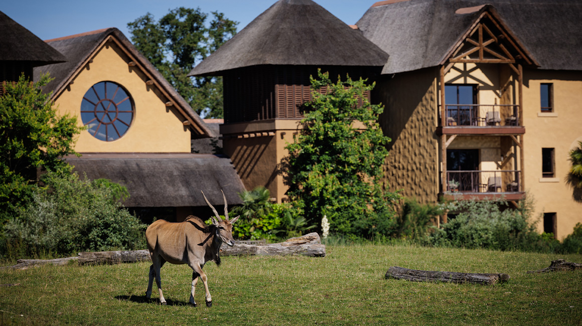 Une nuit au coeur de la savane africaine