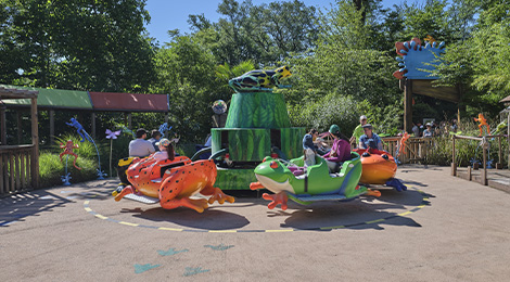 La Ronde des Grenouilles