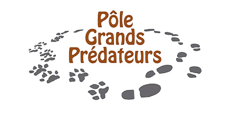Pôle Grands Prédateurs