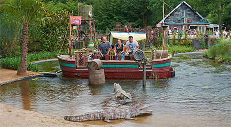 Alligator Baie