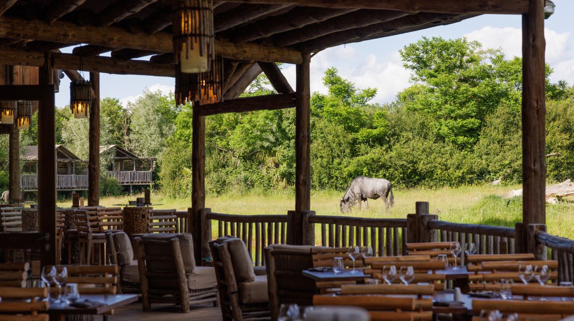Et toujours une vue magnifique même au restaurant !